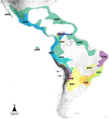 Diversification of chiles (Capsicum, Solanaceae) through time and space: New insights from genome-wide RAD-seq data